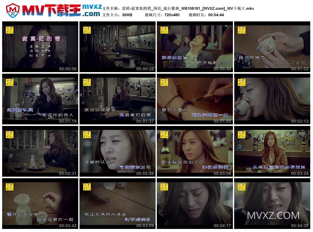 雷婷-寂寞犯的错_国语_流行歌曲_MB108181